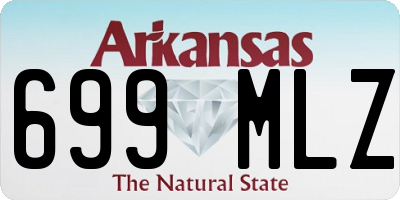 AR license plate 699MLZ