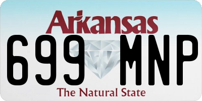 AR license plate 699MNP