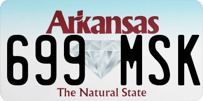 AR license plate 699MSK