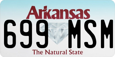 AR license plate 699MSM