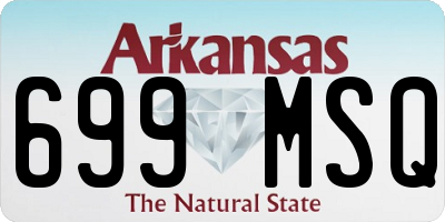 AR license plate 699MSQ