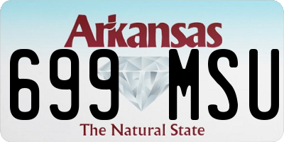 AR license plate 699MSU