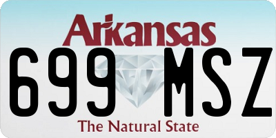AR license plate 699MSZ