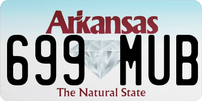 AR license plate 699MUB