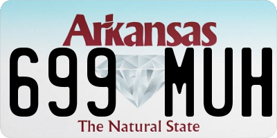 AR license plate 699MUH