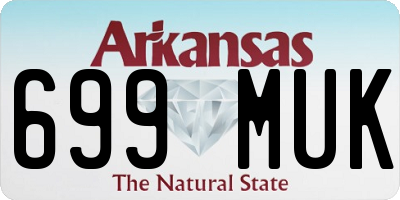 AR license plate 699MUK
