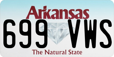 AR license plate 699VWS
