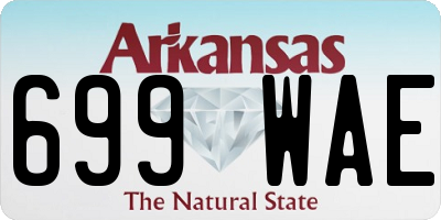 AR license plate 699WAE