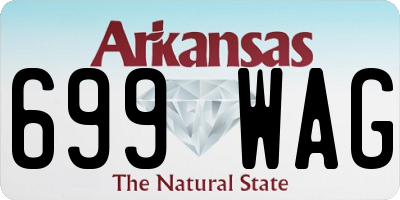 AR license plate 699WAG