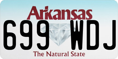 AR license plate 699WDJ