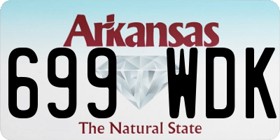 AR license plate 699WDK