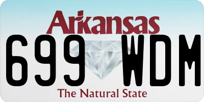 AR license plate 699WDM