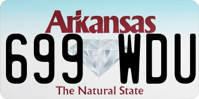 AR license plate 699WDU