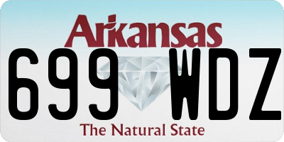 AR license plate 699WDZ