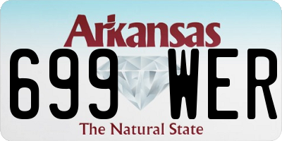 AR license plate 699WER