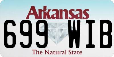 AR license plate 699WIB