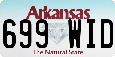 AR license plate 699WID