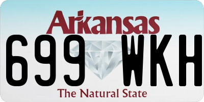AR license plate 699WKH