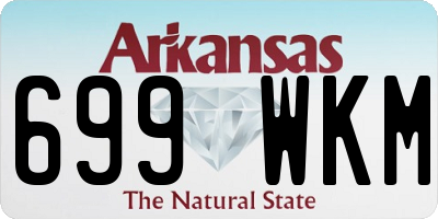AR license plate 699WKM