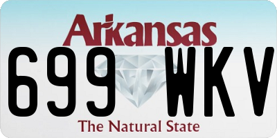 AR license plate 699WKV