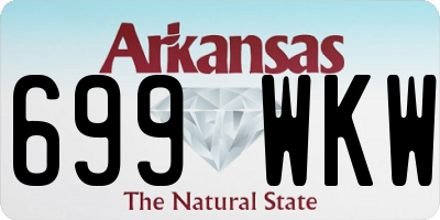 AR license plate 699WKW