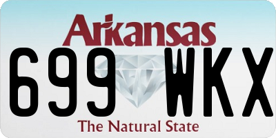 AR license plate 699WKX