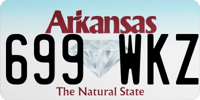 AR license plate 699WKZ