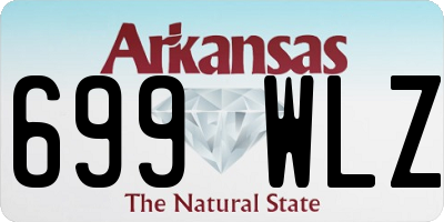 AR license plate 699WLZ