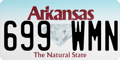 AR license plate 699WMN