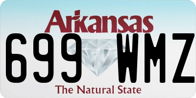 AR license plate 699WMZ