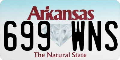 AR license plate 699WNS