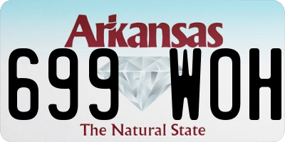 AR license plate 699WOH