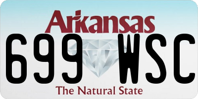 AR license plate 699WSC