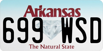AR license plate 699WSD