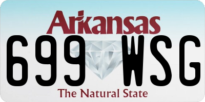 AR license plate 699WSG