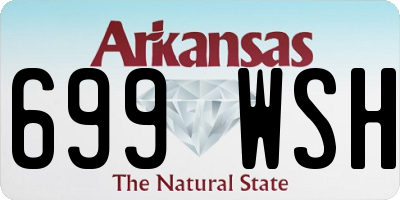 AR license plate 699WSH