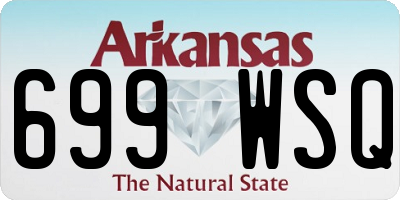 AR license plate 699WSQ