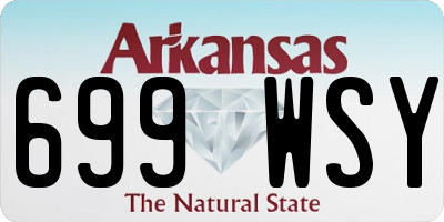 AR license plate 699WSY
