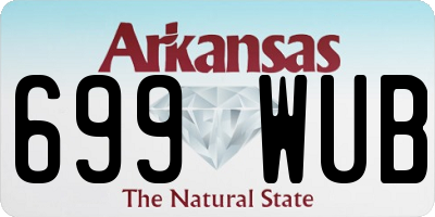AR license plate 699WUB