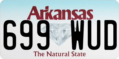 AR license plate 699WUD