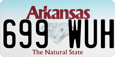 AR license plate 699WUH