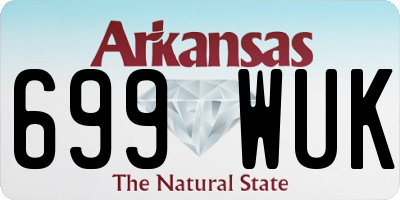 AR license plate 699WUK