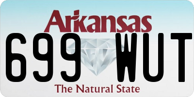 AR license plate 699WUT