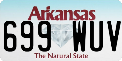 AR license plate 699WUV