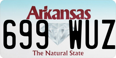 AR license plate 699WUZ