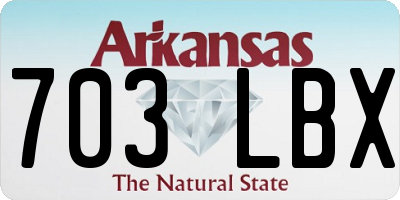AR license plate 703LBX