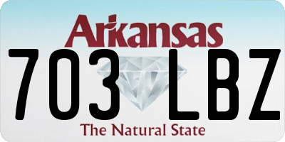 AR license plate 703LBZ