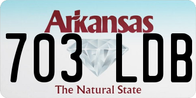 AR license plate 703LDB