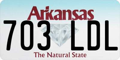 AR license plate 703LDL