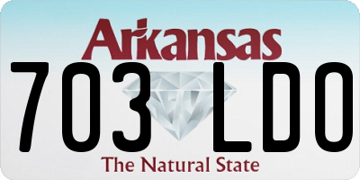 AR license plate 703LDO